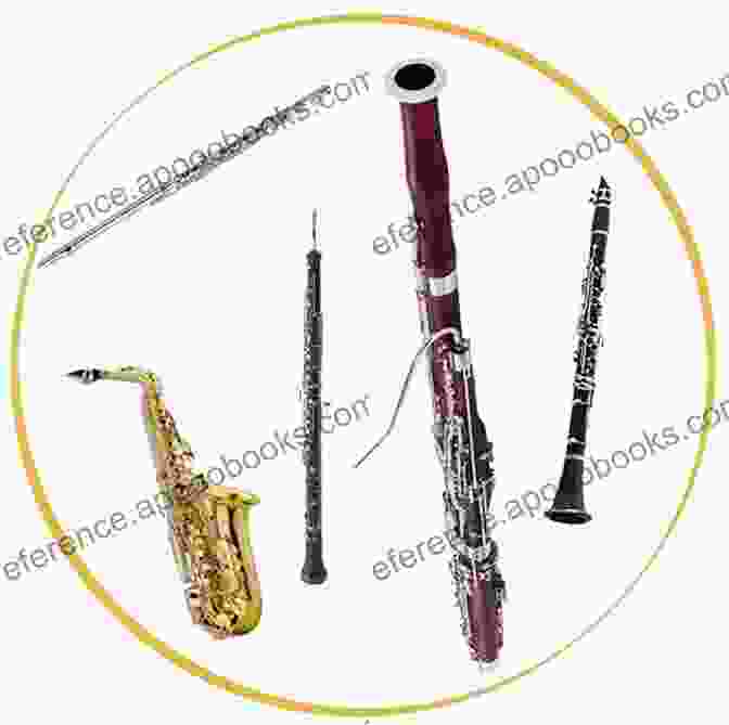 A Depiction Of A Musical Tapestry, Woven With Images Of Woodwinds And Strings. From The Clarinet D Amour To The Contra Bass: A History Of Large Size Clarinets 1740 1860