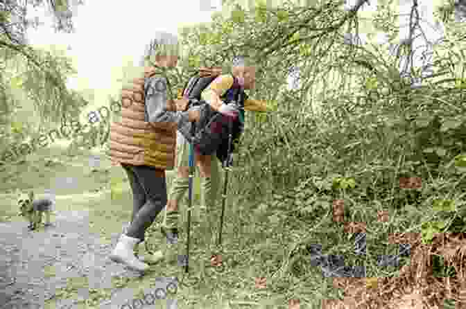 A Group Of Hikers Observing Plants In The Field, Carrying Copies Of 'Plants Of Arizona 2nd Falcon Guides' As Their Trusted Reference. Plants Of Arizona 2nd (Falcon Guides)