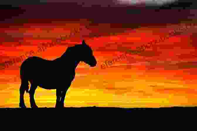 A Horse Standing On A Mountaintop At Sunset, Its Silhouette Against A Vibrant Backdrop Of Orange And Purple Hues. The Horses Of Proud Spirit