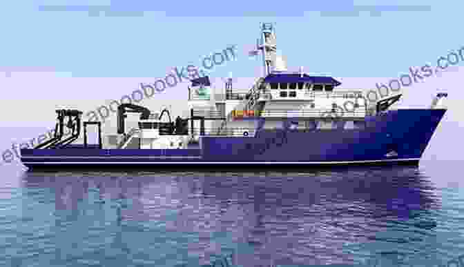 A Woman Standing On The Deck Of A Research Vessel DOLPHINS AND WHALES Following My Passion