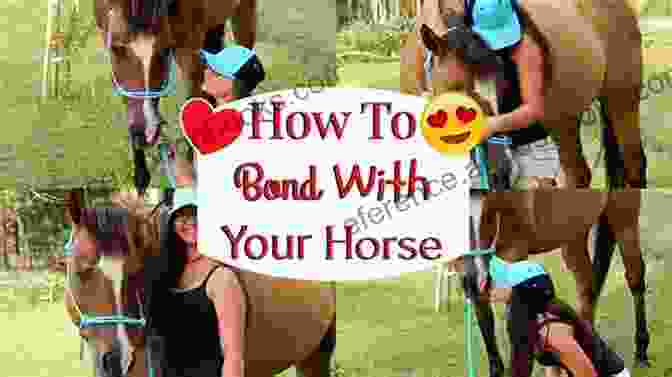 Advanced Training Enhances The Bond And Performance Of Your Arabian Horse Arabian Horse Training For Arabian Horses By Saddle UP Horse Training Are You Ready To Saddle Up? Easy Training * Fast Results Arabian Horse