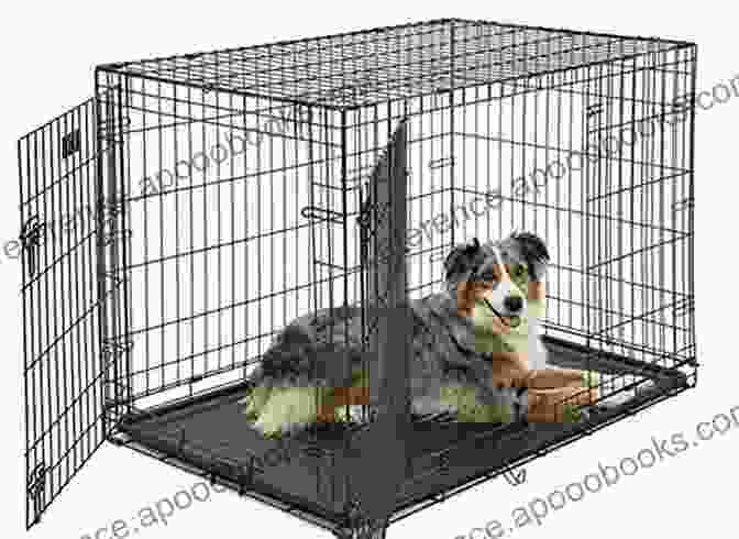 Australian Shepherd Puppy In A Crate Australian Shepherd Puppy Training For Aussie Puppies By BoneUP DOG Training: Are You Ready To Bone Up? Easy Training * Fast Results Australian Shepherd Puppies