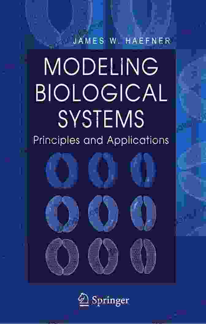 Computational Hemodynamics: Theory, Modeling, And Applications In Biological And Medical Systems Computational Hemodynamics Theory Modelling And Applications (Biological And Medical Physics Biomedical Engineering)