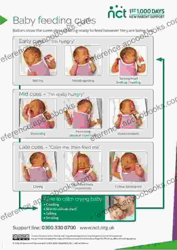 Decoding Newborn Elimination Cues The Pe EBook: Your Diaper Free Newborn