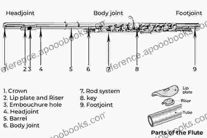 Diagram Of A Flute, Showcasing Its Different Parts HOW TO PLAY FLUTE: Your Complete Guide On How To Play Flute For Beginners