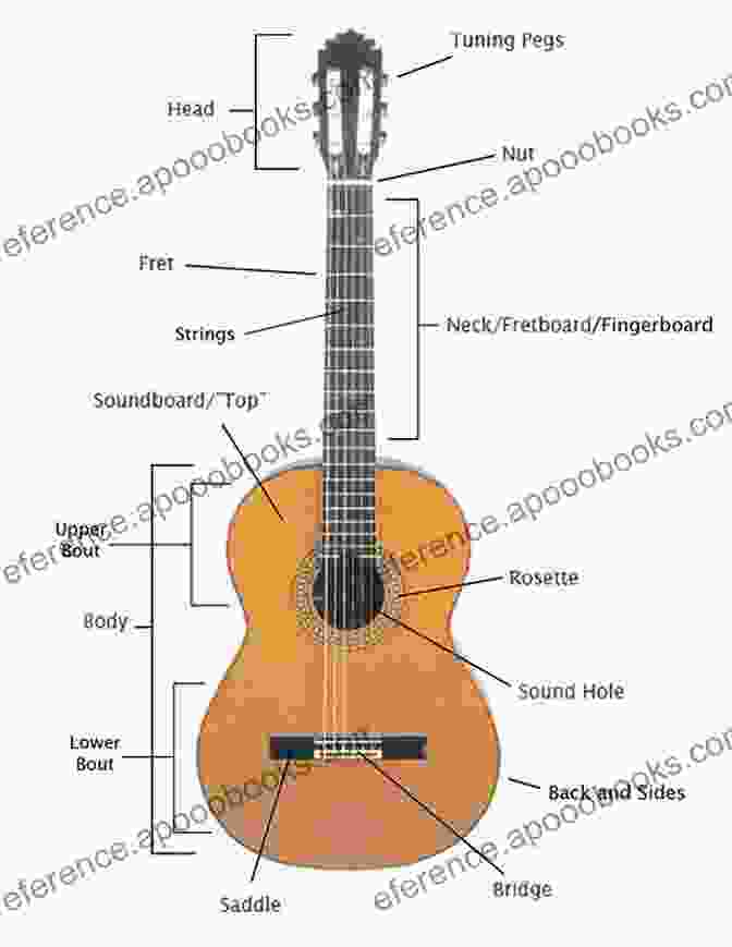 Diagram Of The Classic Guitar Anatomy, Including The Body, Neck, Strings, And Tuners. Learning The Classic Guitar Part One