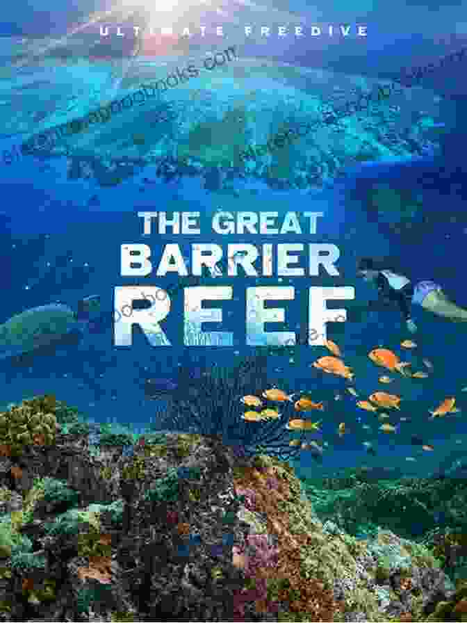 Documentary On The Great Barrier Reef Attacks On The American Press: A Documentary And Reference Guide (Documentary And Reference Guides)