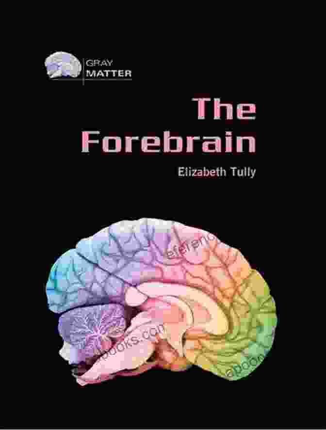 Elizabeth Tully, Neuroscientist And Author Of The Forebrain Gray Matter The Forebrain (Gray Matter) Elizabeth Tully