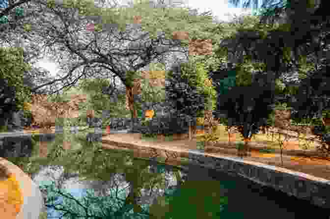 Forgotten Lake In Delhi Absolute Delhi : Hidden Delhi Gems That You Would Love To Discover