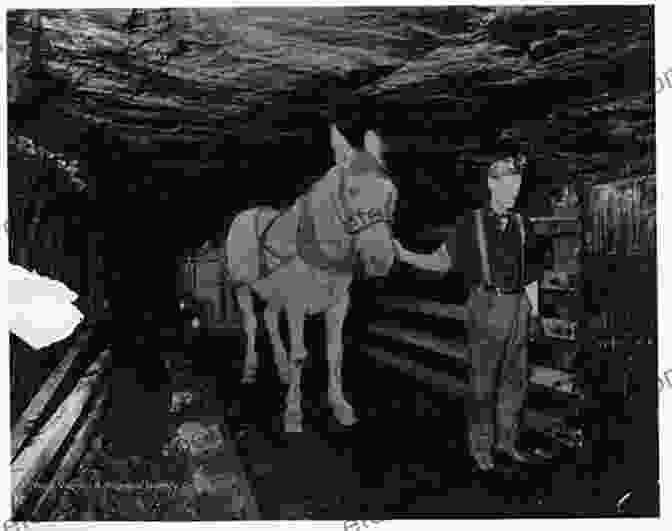 Image Of Meg Hutchinson Working In A Coal Mine, Clad In Traditional Mining Attire Pit Bank Wench Meg Hutchinson