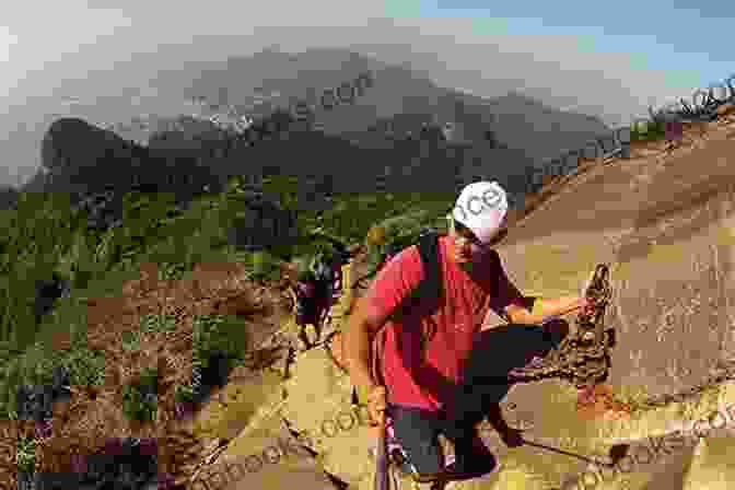 People Hiking Through The Lush Tijuca Forest In Rio De Janeiro TEN FUN THINGS TO DO IN RIO DE JANEIRO