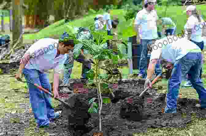 Photograph Of Young People Planting Trees In A Restoration Project, Representing The Future Of Public Lands Conservation. Making America S Public Lands: The Contested History Of Conservation On Federal Lands (American Ways)