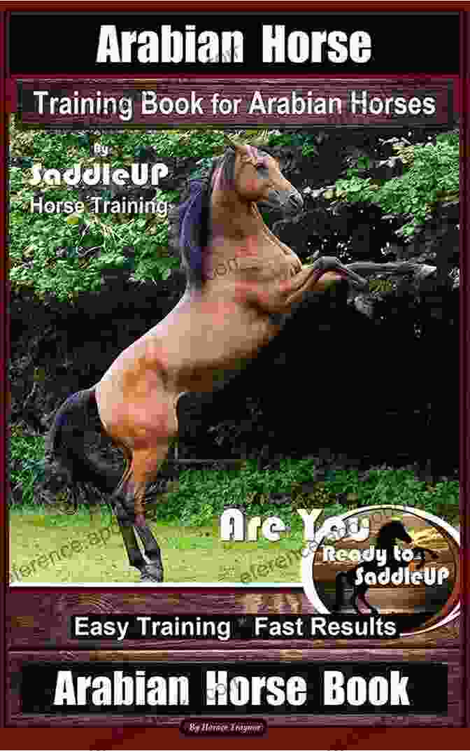 Saddle Up Horse Training Are Experts In Arabian Horse Training Arabian Horse Training For Arabian Horses By Saddle UP Horse Training Are You Ready To Saddle Up? Easy Training * Fast Results Arabian Horse