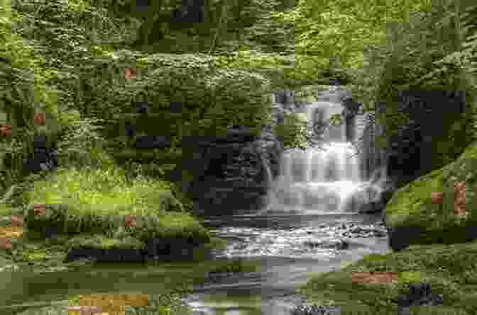 Serene Nature Scene With Flowing River And Lush Greenery Unfortunately It Was Paradise: Selected Poems