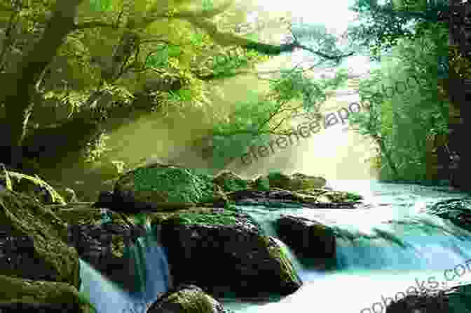 Tranquil Nature Scene With Lush Greenery And Sparkling Stream How Great Thou Art: Poems Of Nature And The Spirit