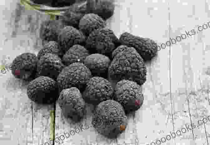 Umbrian Truffles Art And Truffles In Umbria And Other Things