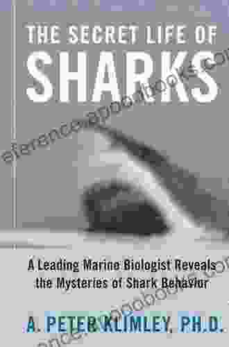 The Secret Life Of Sharks: A Leading Marine Biologist Reveals The Mysteries O