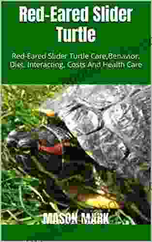 Red Eared Slider Turtle : Red Eared Slider Turtle Care Behavior Diet Interacting Costs And Health Care