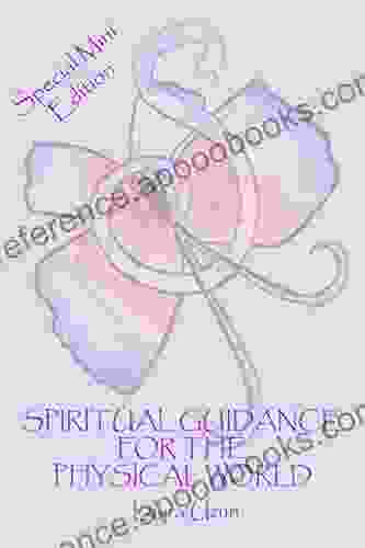 SPIRITUAL GUIDANCE FOR THE PHYSICAL WORLD: Special Mini Edition