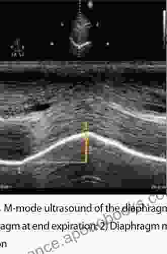 Ultrasound Of The Diaphragm And The Respiratory Muscles