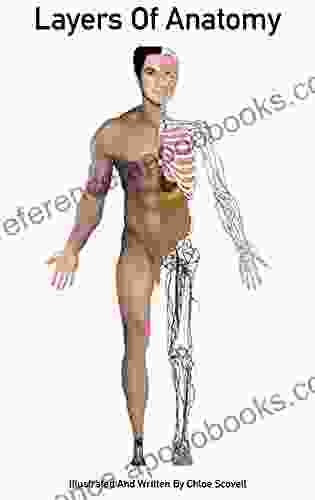 Layers Of Anatomy: Labeled Illustrations Of The Systems In The Human Body